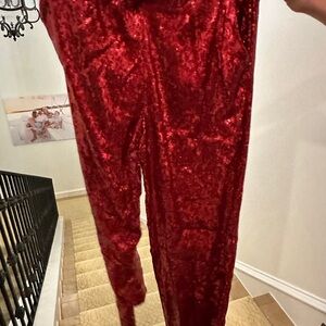 Boston Proper red sequins pants